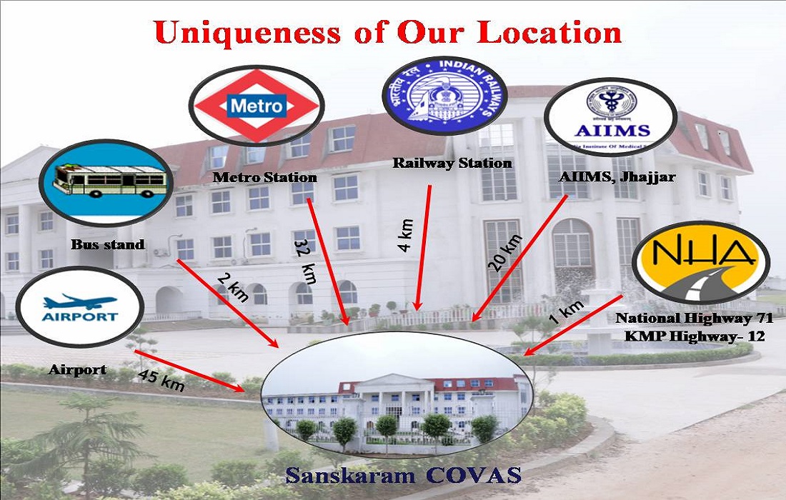 Best bvsc college in Jhajjar